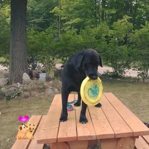 Meet your Posher, Shirley